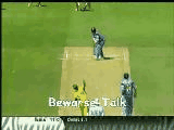 cover drive.gif
